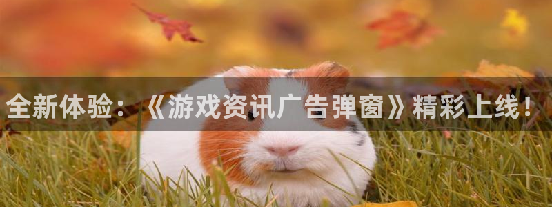 天美娱乐注册：全新体验：《游戏资讯广告弹窗》精彩上线！