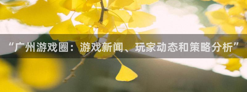 天美娱乐平台官网登录：“广州游戏圈：游戏新闻、玩家动态和策略