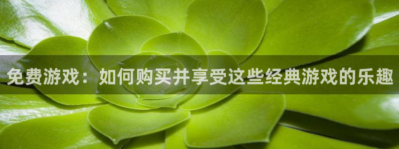 天美娱乐平台官网入口：免费游戏：如何购买并享受这些经典游戏的