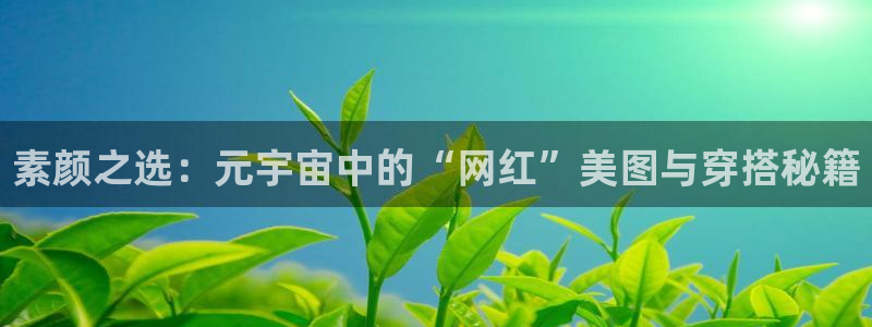 天美娱乐2登录：素颜之选：元宇宙中的“网红”美图与穿搭秘籍